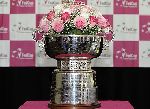 Fed Cup-2011.       -